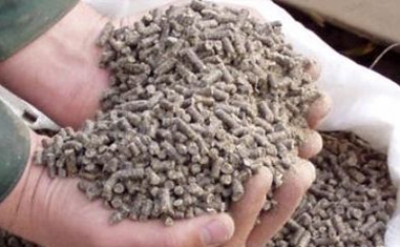 كسب عباد الشمس